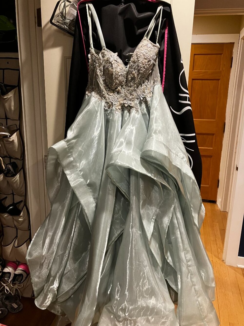 Prom Dress - Picture 8 of 8